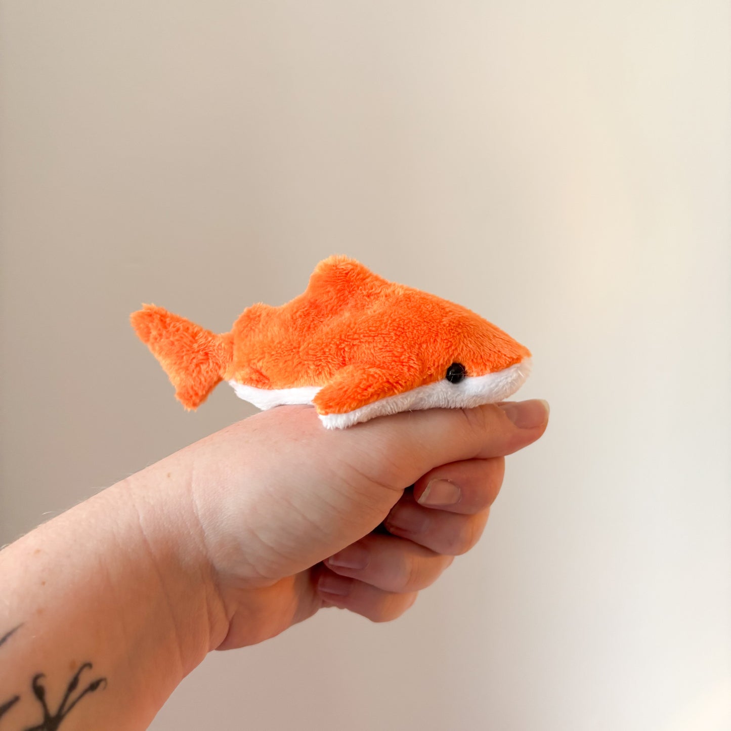 Orange Shark