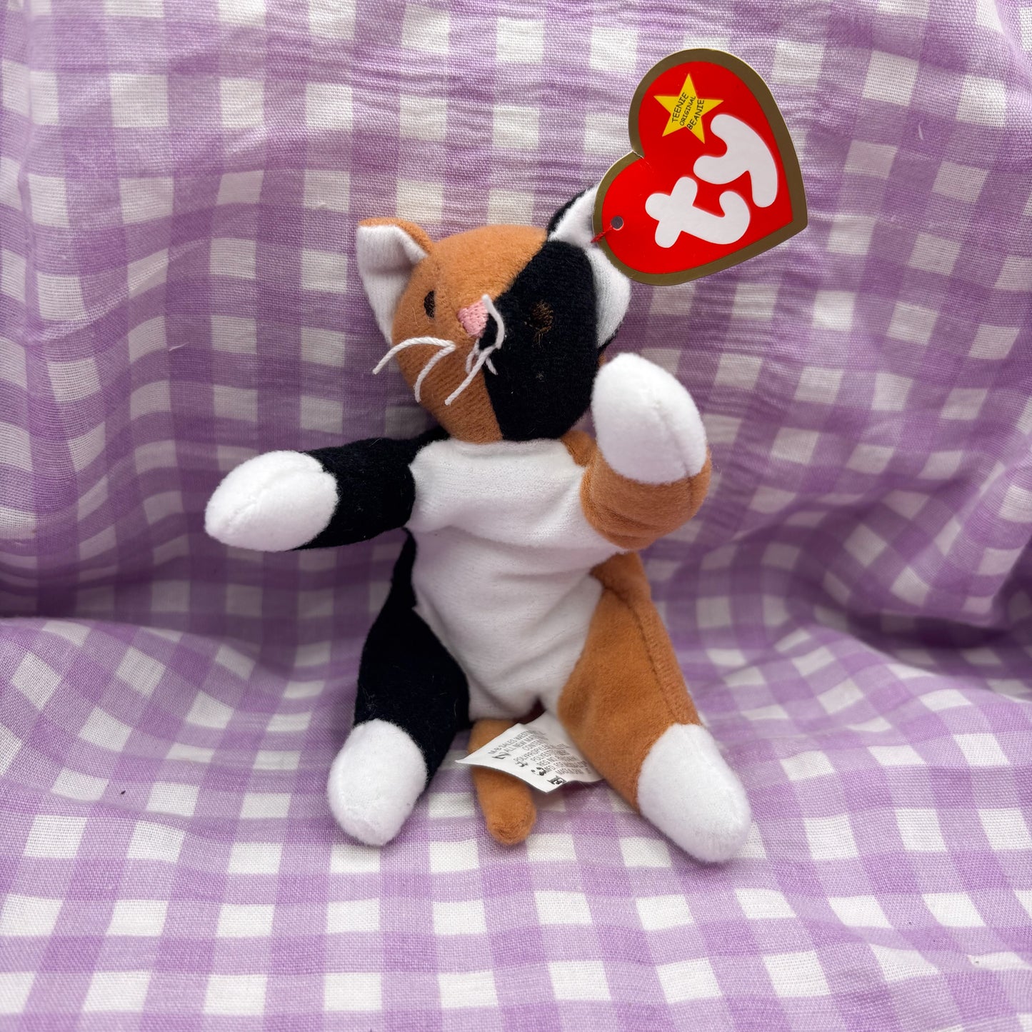 Teenie Beanie Chip