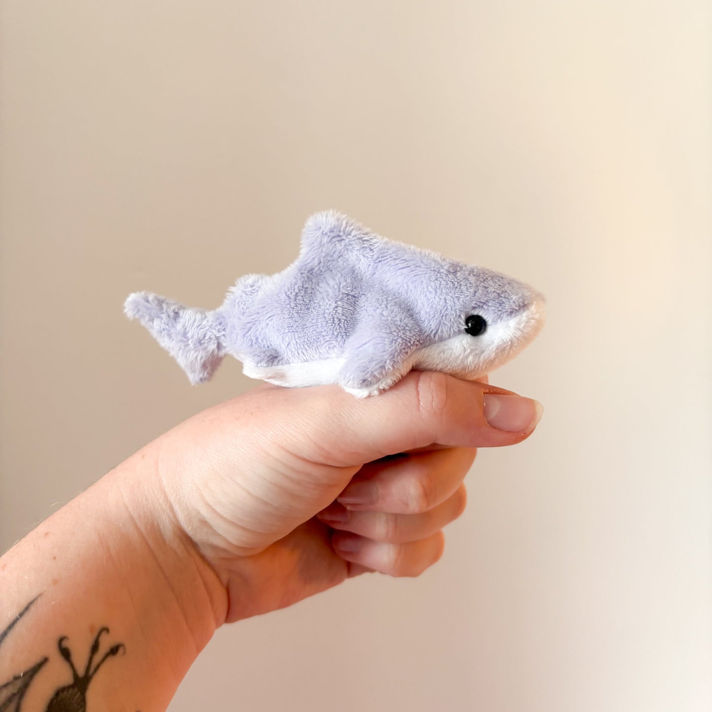 Purple Shark