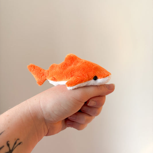 Orange Shark