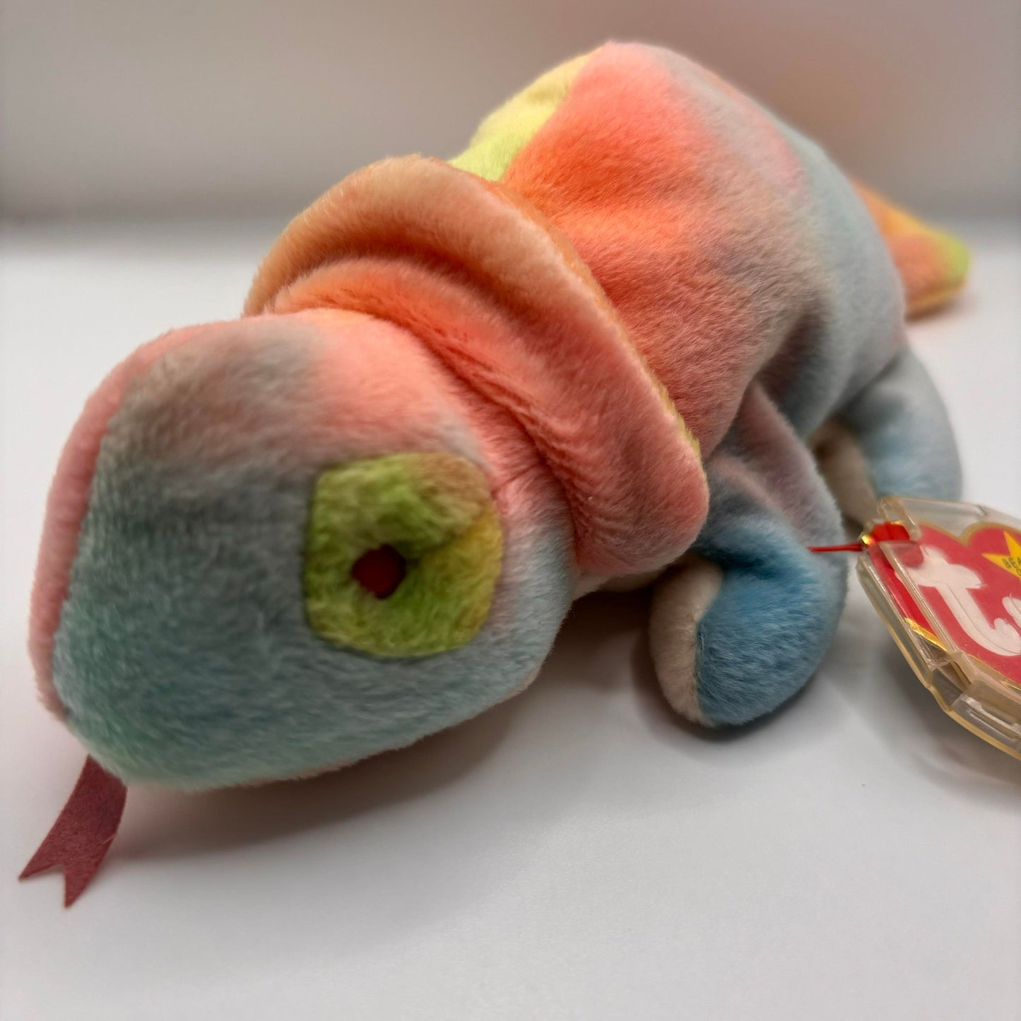 Rainbow Chameleon