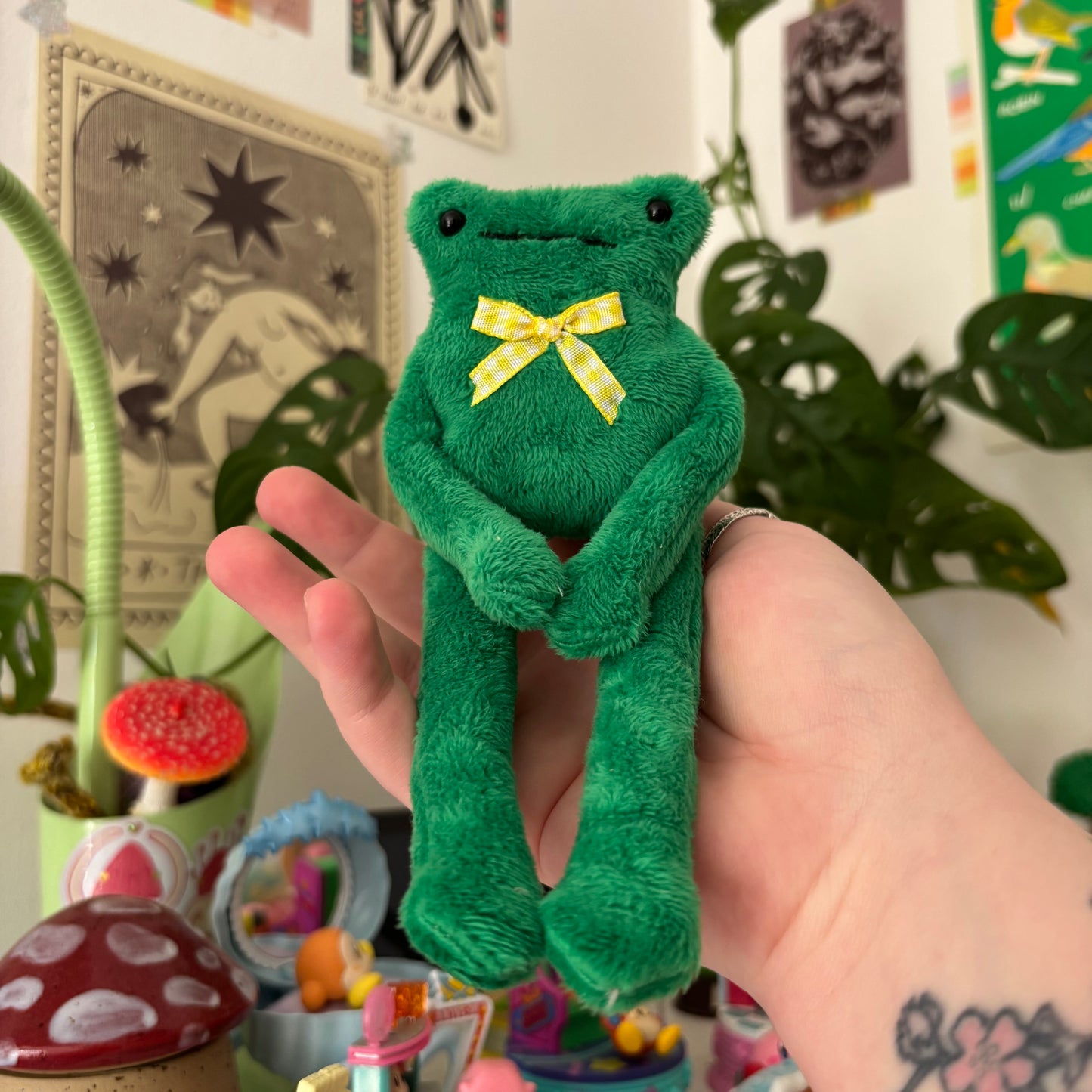 Froggy Long Legs