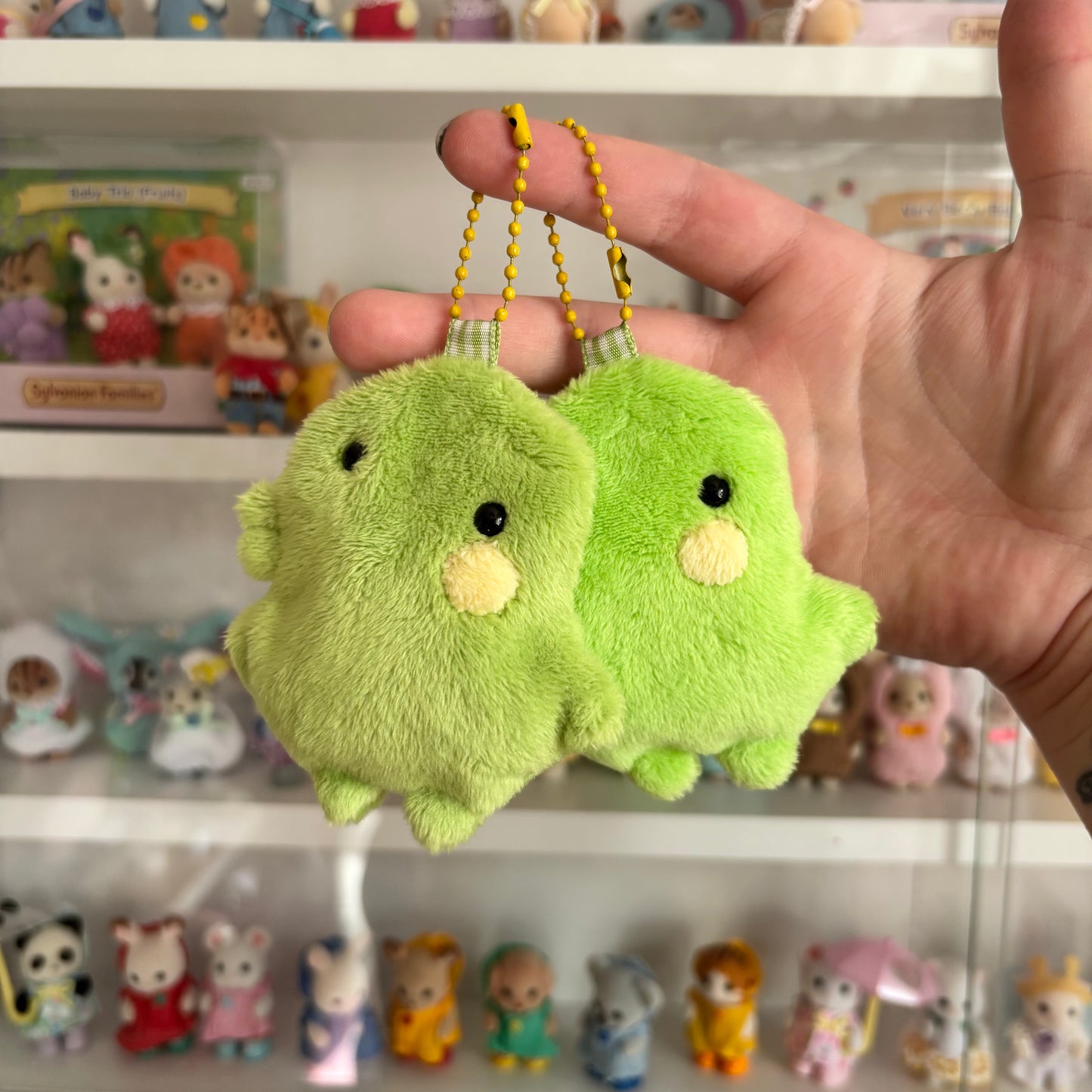 Cursed Kuchi