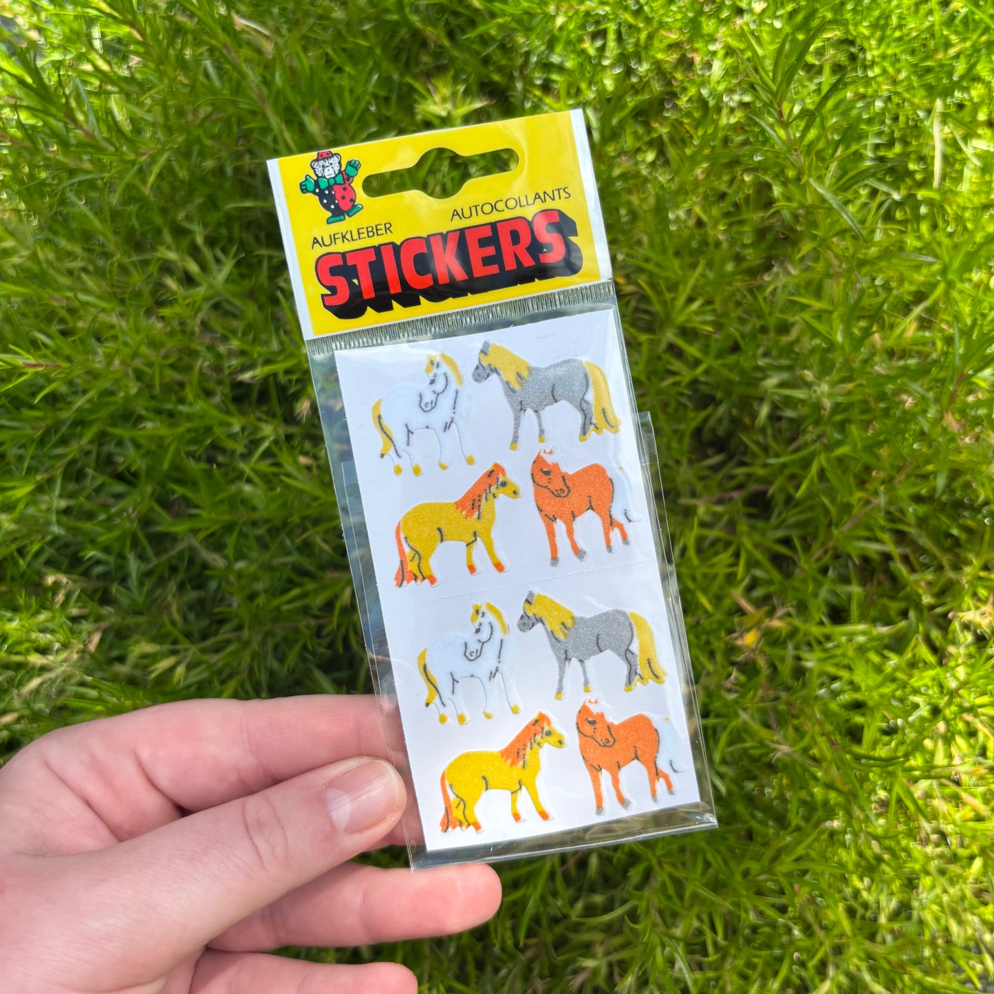 Dartmoor Ponies Sticker Sheet